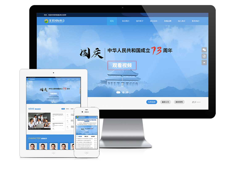 天津宽屏国际商协会网站建设案例