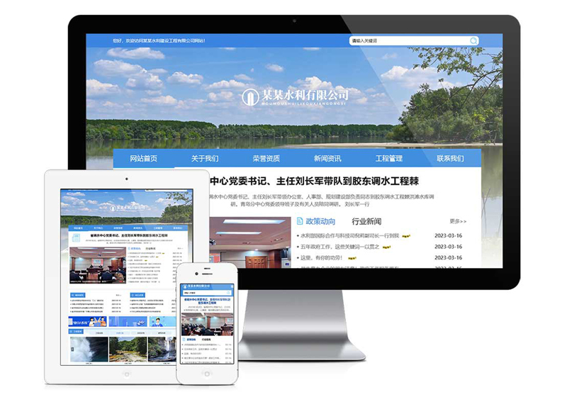 青海水利工程项目管理网站建设案例